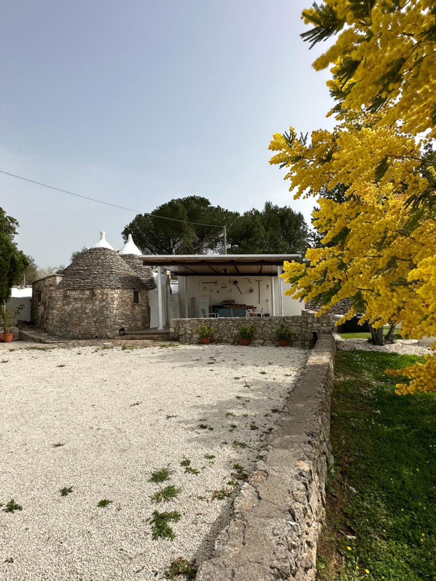 ノーチ Trulli In Contradaヴィラ エクステリア 写真